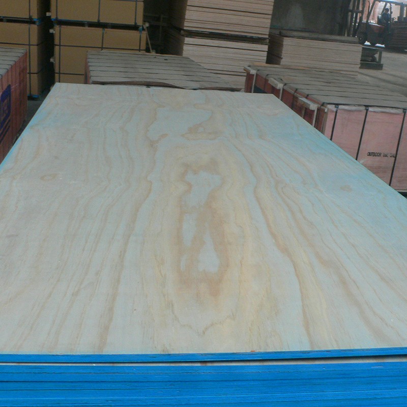 Radiata pine plywood