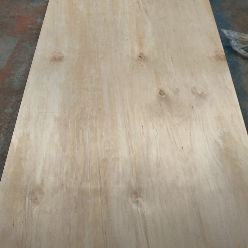 Agathis Dammara Kauri plywood