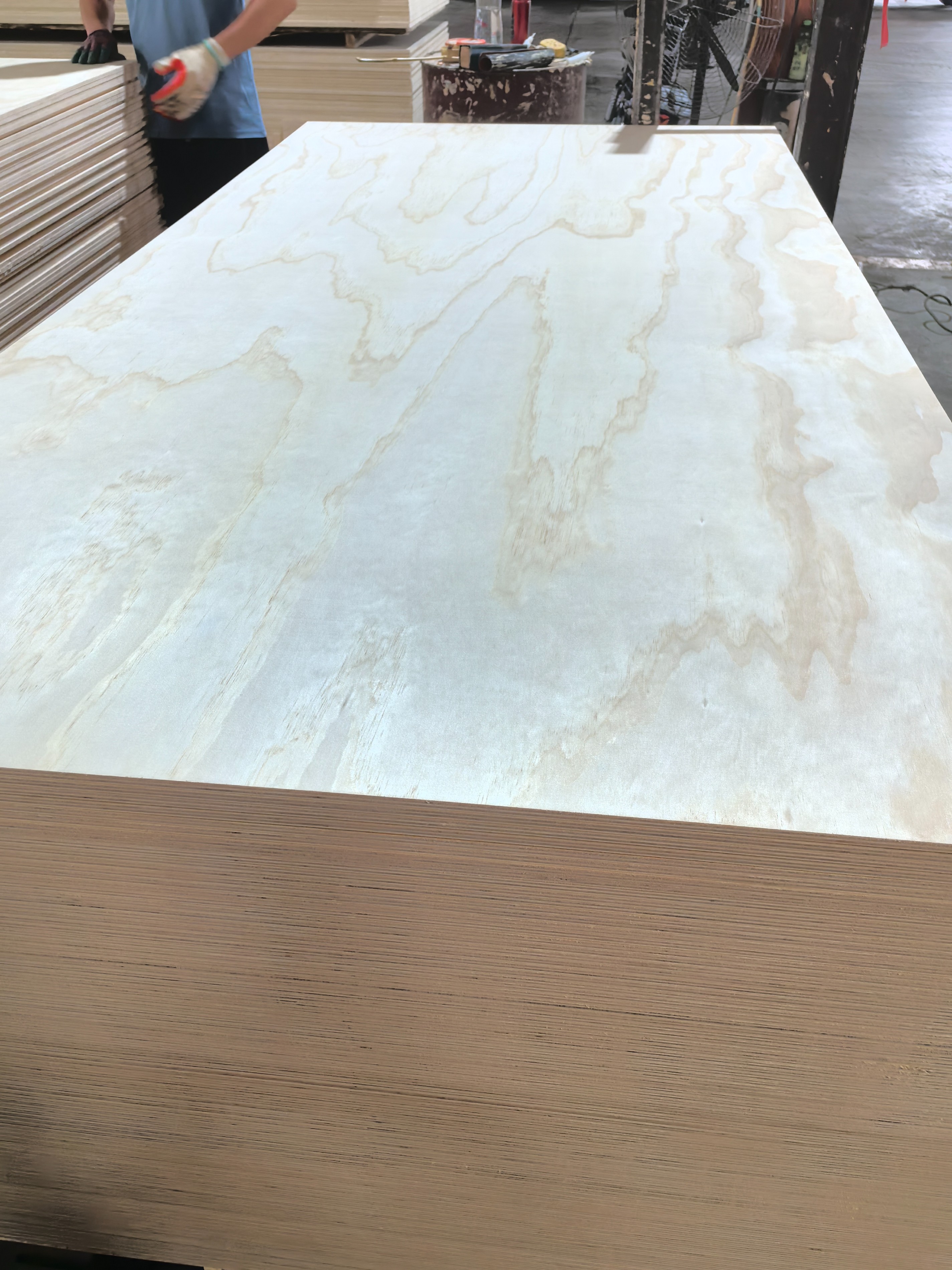 Pine Plywood with E1 Glue C/D Grade