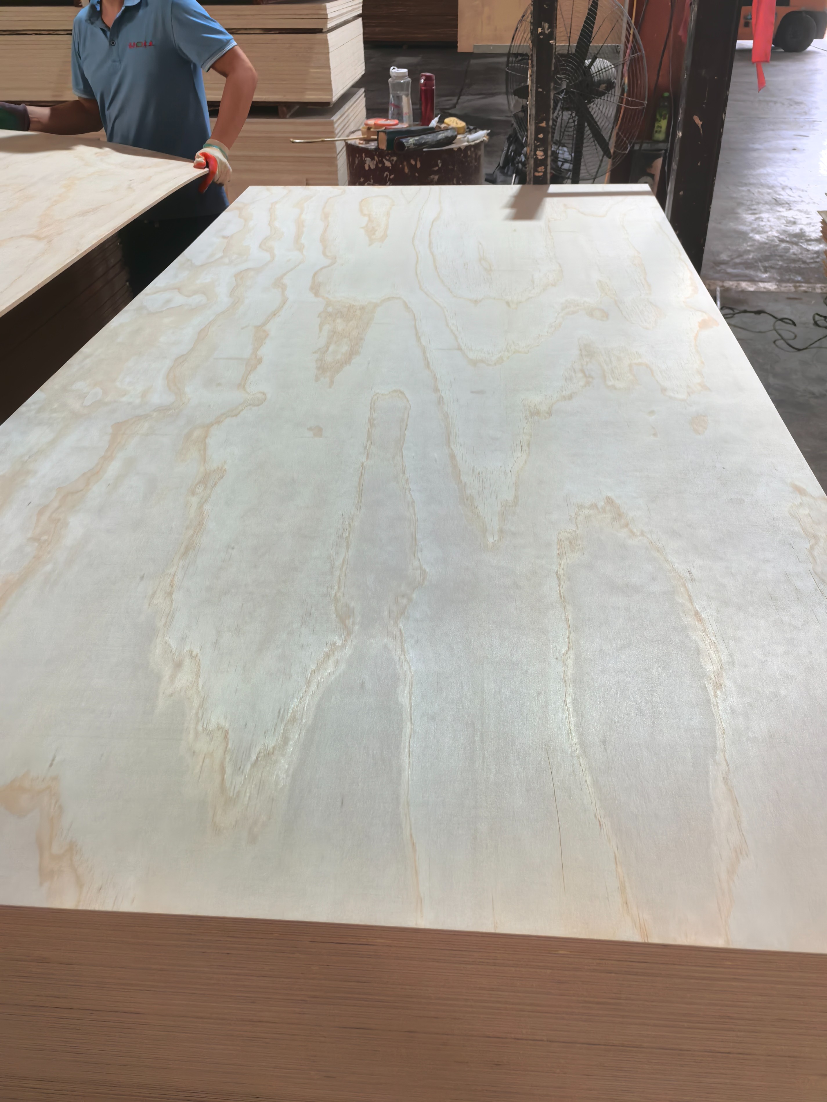 Pine Plywood with E1 Glue C/D Grade