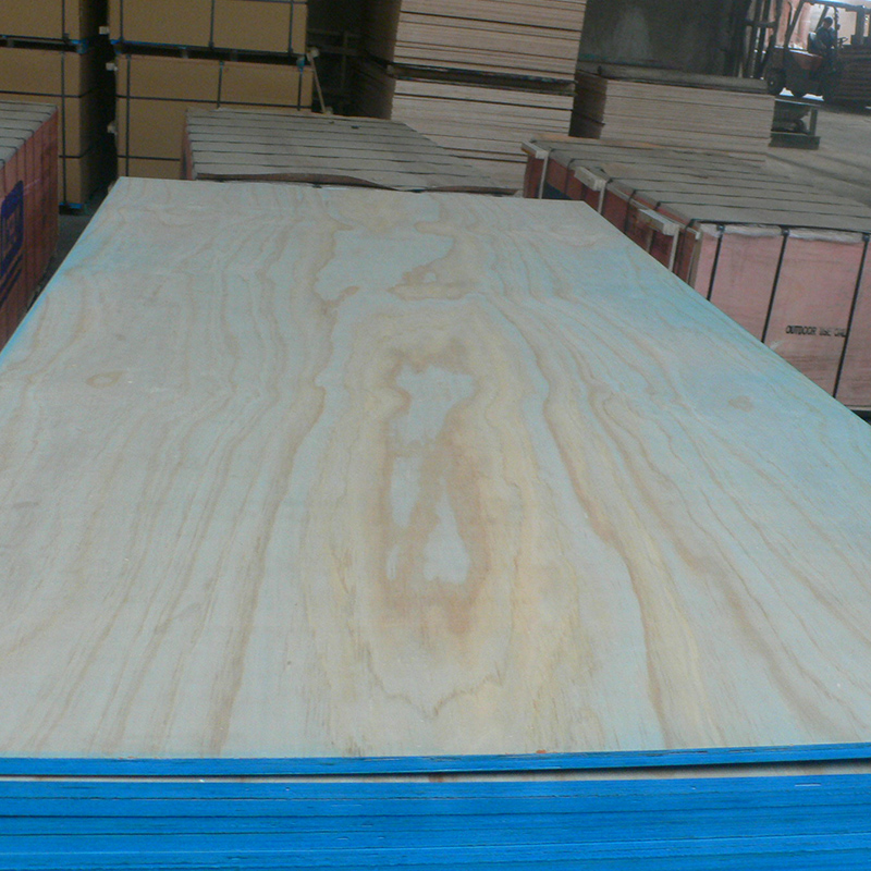 Radiata pine plywood(图1)