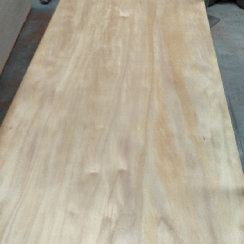 Agathis Dammara Kauri plywood(图1)