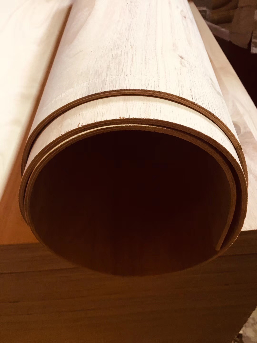Bending Plywood /Flexible Plywood(图4)