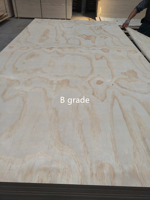 Radiata pine plywood(图1)