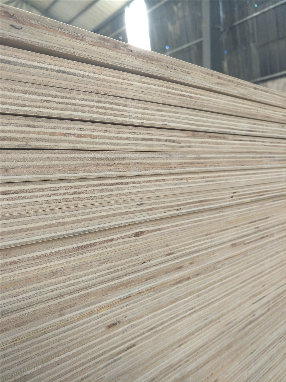 Radiata pine plywood(图3)