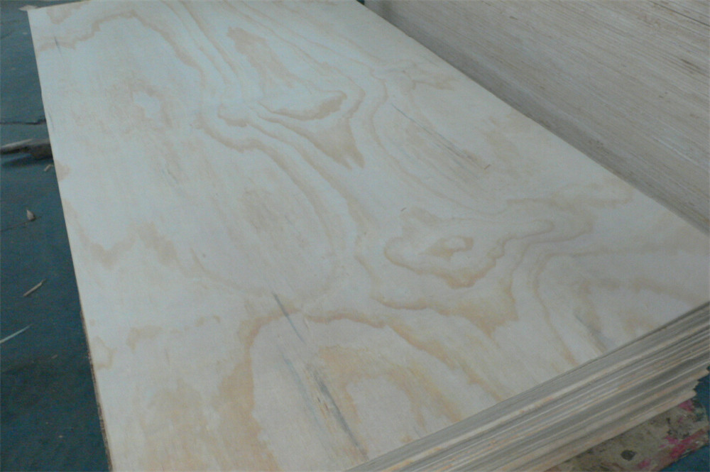 Radiata pine plywood(图2)