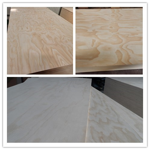 Non structural pine plywood(图1)