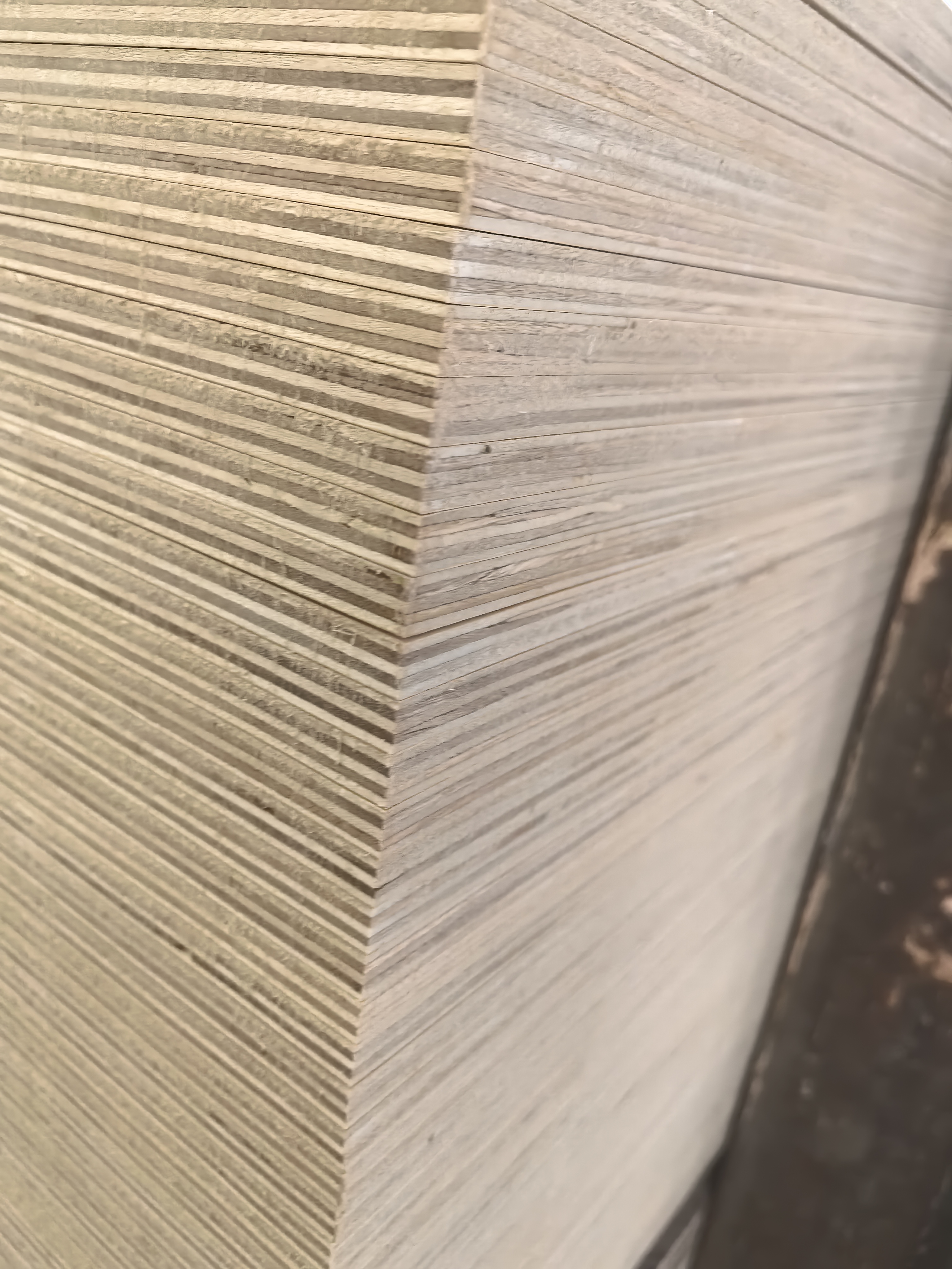 Pine Plywood with E1 Glue C/D Grade(图2) Pine Plywood with E1 Glue C/D Grade(图2)